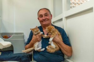 Read more about the article Foster parents needed for dogs and kittens