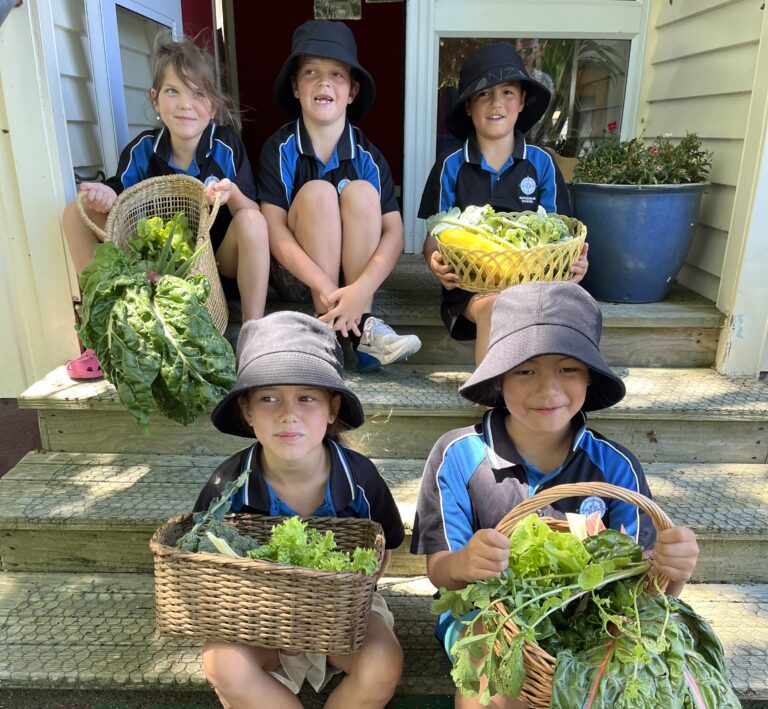 Read more about the article Students discover new paths