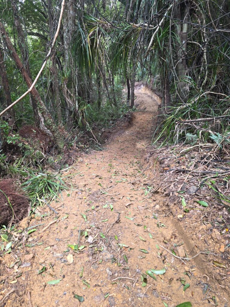 Read more about the article Upgrade for Karaka Trail