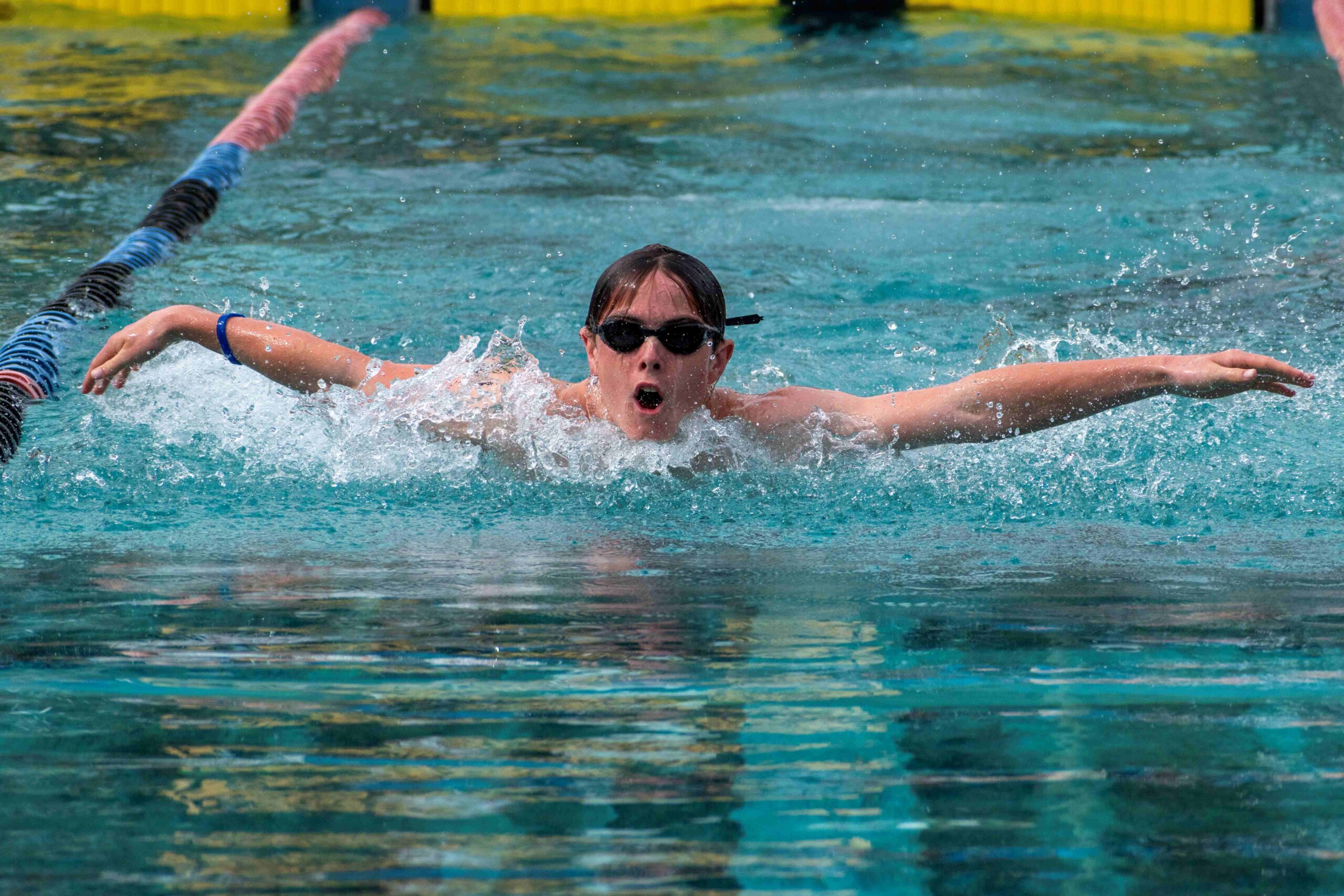 You are currently viewing Valley kids dive into school competition