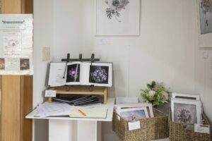 Read more about the article Stories told through Trevor’s lens