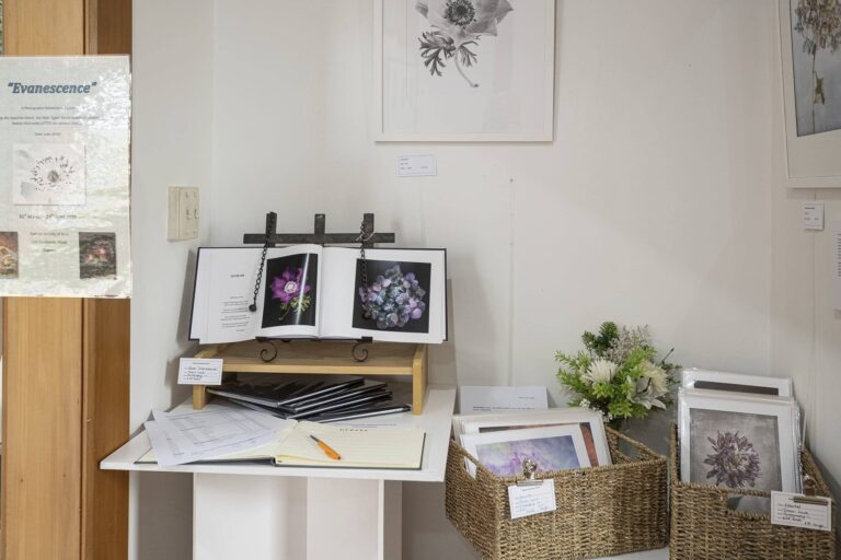 Read more about the article Stories told through Trevor’s lens