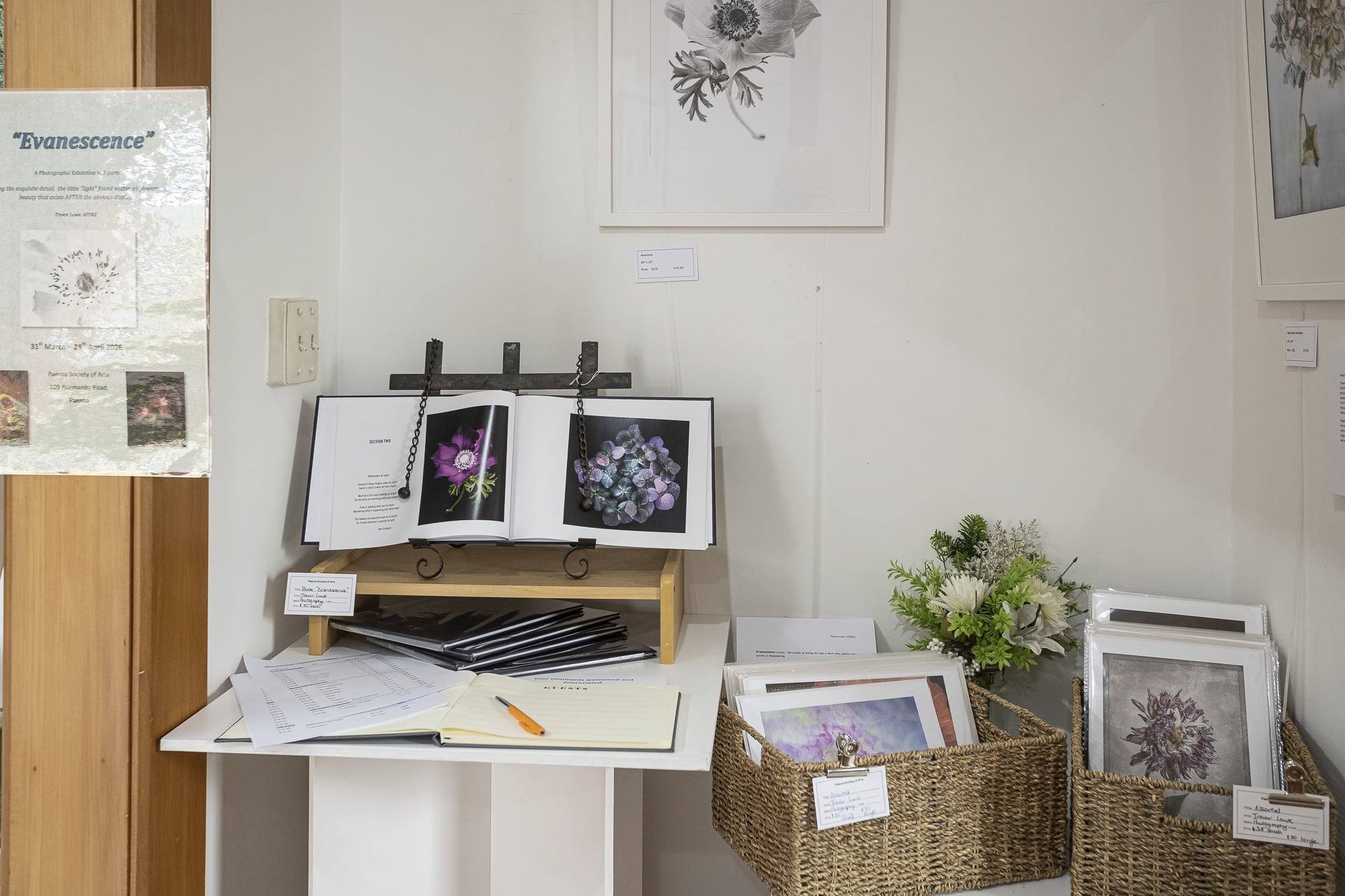 You are currently viewing Stories told through Trevor’s lens