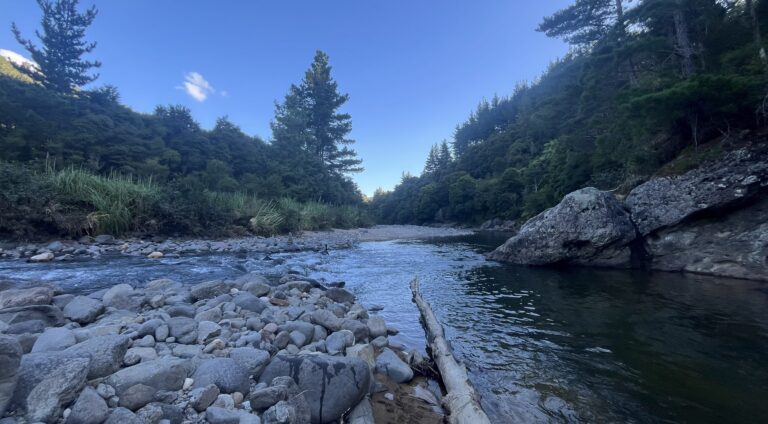 Read more about the article Taking care of nature