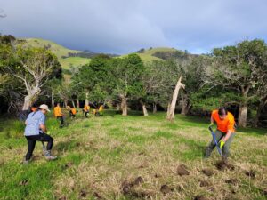 Read more about the article Kiwis urged to get naturing this Conservation Week