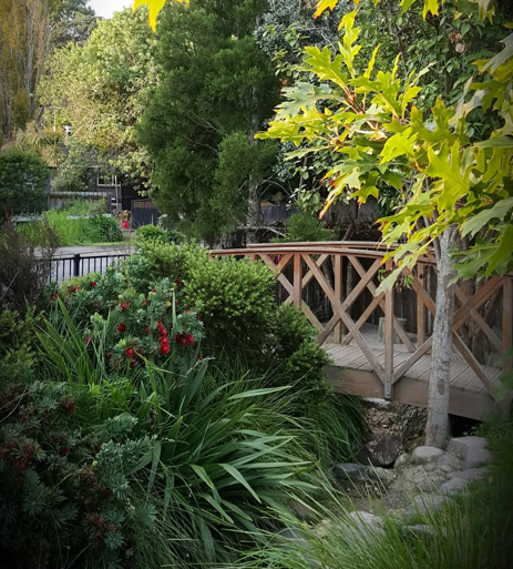 You are currently viewing Children learn to explore at Pukekos