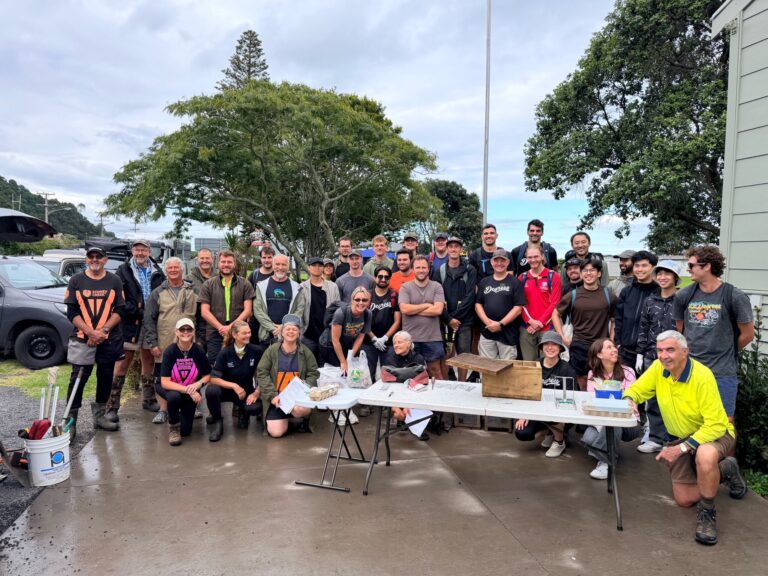 Read more about the article Together, for the future of kiwi