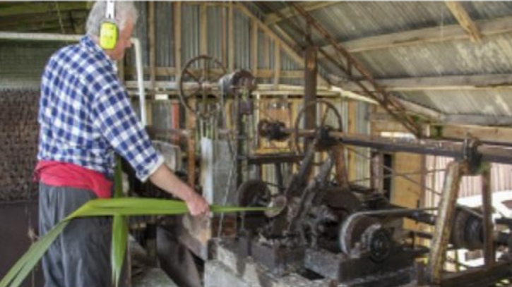 Read more about the article Flaxmill set to fire up