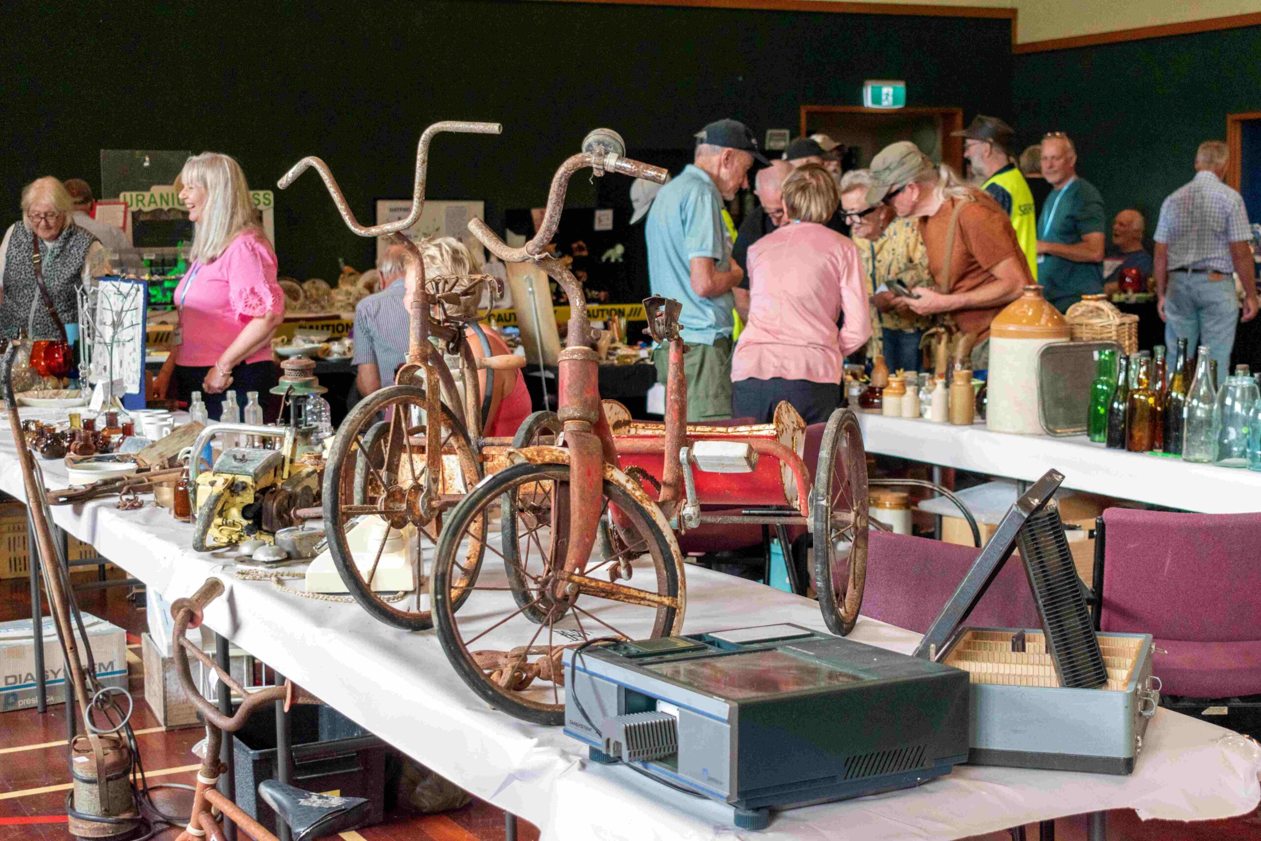 You are currently viewing Collection of collectibles