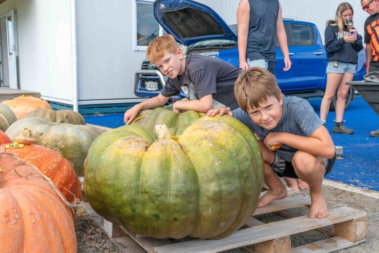 Read more about the article Fun times, pumpkin