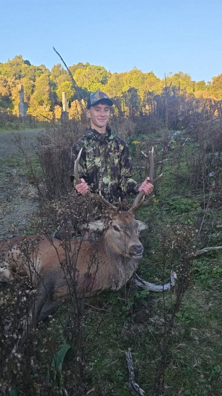 Read more about the article Brothers snag a stag, find a hind