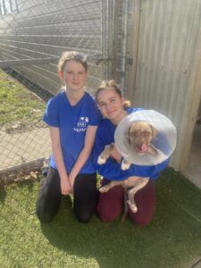 Read more about the article A place to care for animals