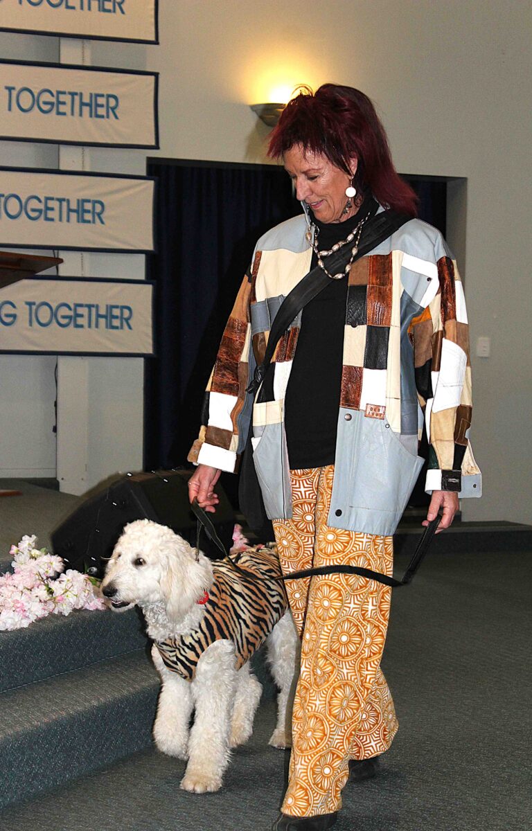 Read more about the article Gone to the dogs