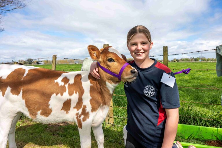 Read more about the article Calf club cuties