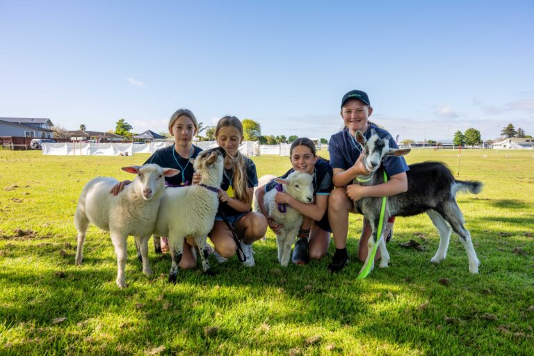 Read more about the article It’s calf club season