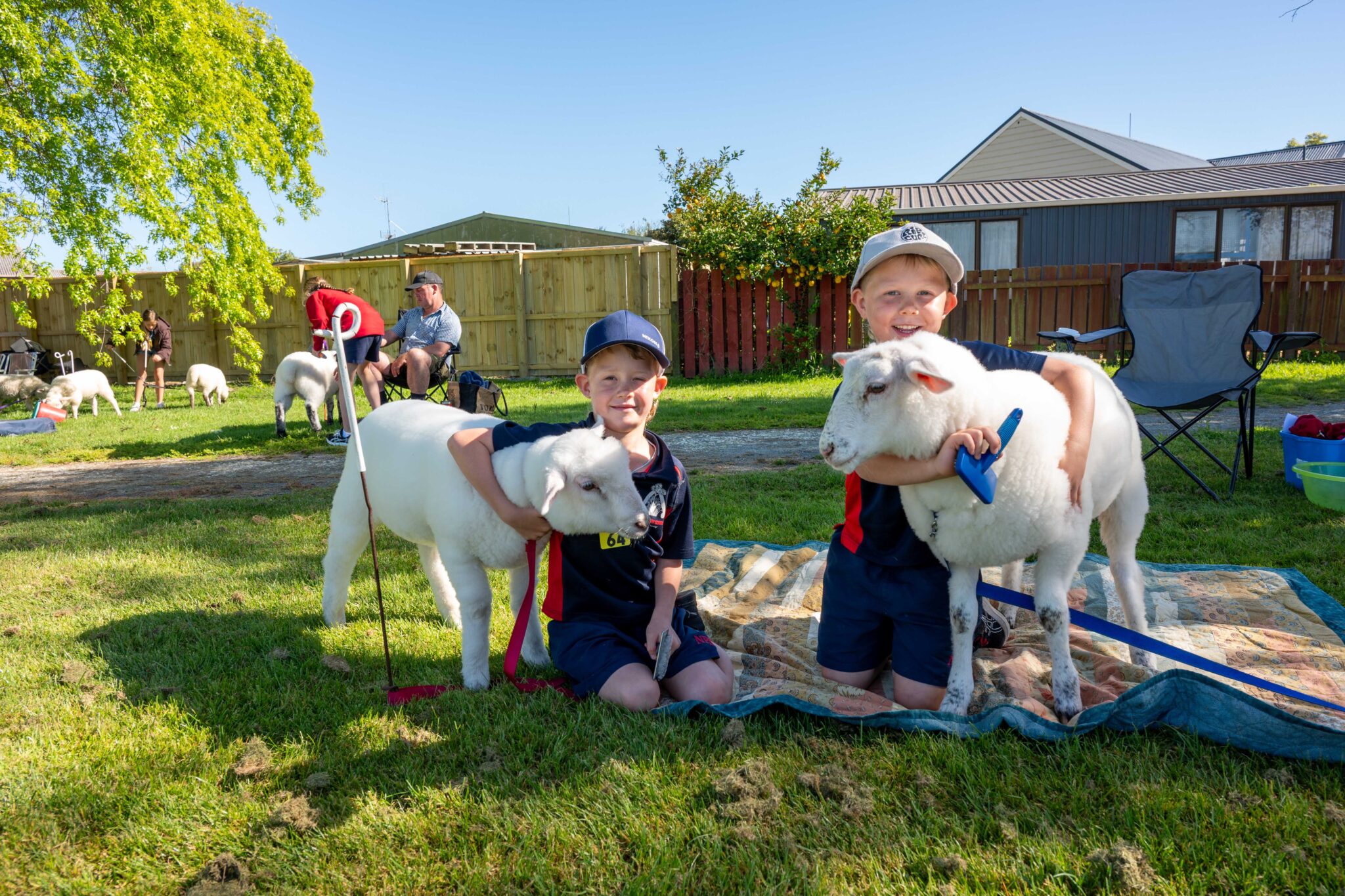 It’s calf club season – The Valley Profile