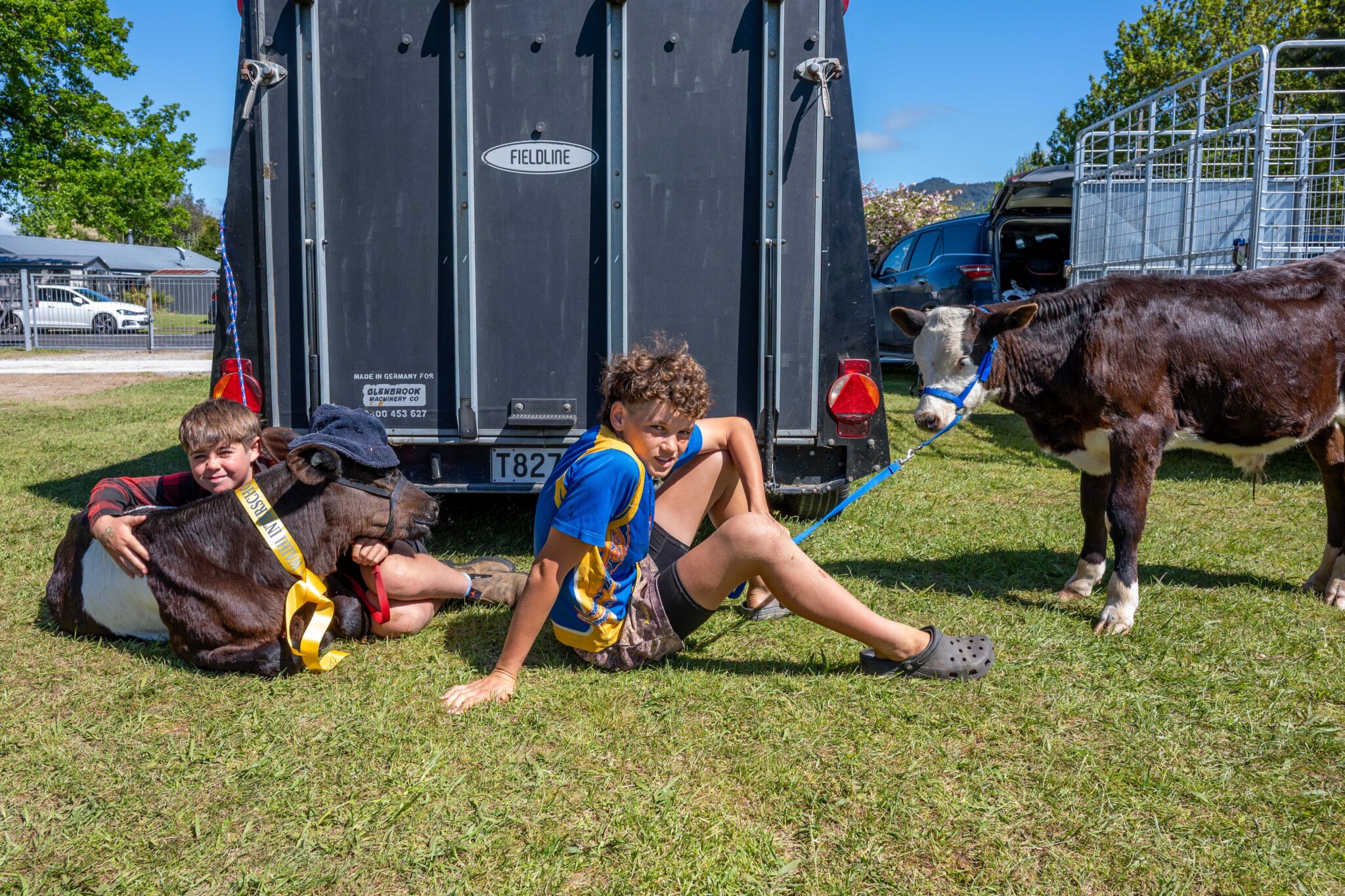 It’s calf club season – The Valley Profile